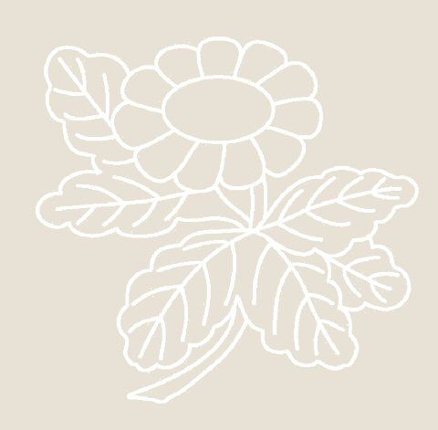 Digital White Work Daisy <b>Cool Grey 4 Sizes - 4 x A4 Sheets Download